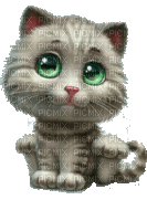 animated cat - Darmowy animowany GIF