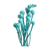 kikkapink deco scrap blue plants - фрее пнг