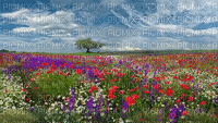 Paysage.Landscape.Printemps.Spring.Victoriabea - GIF animé gratuit