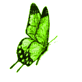 green butterfly gif papillon vert - Kostenlose animierte GIFs