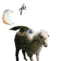 Fall Out Boy Logo // Infinity On High IOH