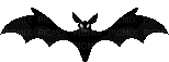 Bat - Ingyenes animált GIF