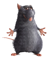 Muis,rat - Бесплатный анимированный гифка