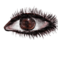 animated brown eye - 免费动画 GIF