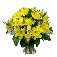 patymirabelle fleurs jonquilles - PNG gratuit