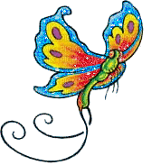 Papillon Butterfly