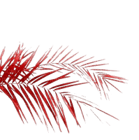 kikkapink deco summer red palm tree - 免费PNG
