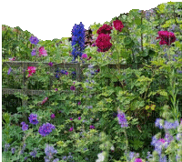 Garten - Gratis animeret GIF
