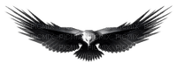 Kaz_Creations Eagle Bird - безплатен png