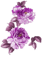 blommor-lila----flowers-purple - ilmainen png