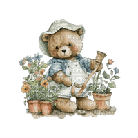 teddy bear - Free PNG