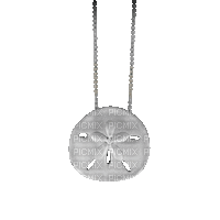 Jewelry Necklace Silver - Darmowy animowany GIF