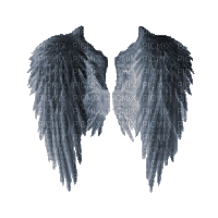 Крылья - Безплатен анимиран GIF