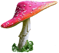 pink toadstool - 無料png