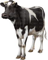 vaca - бесплатно png
