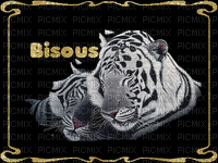 tigres bisous - Бесплатный анимированный гифка