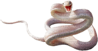 Kaz_Creations Snake - бесплатно png