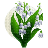 Lily of the Valley - ücretsiz png