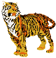 Tiger - Nemokamas animacinis gif