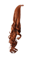 cheveux 02 - δωρεάν png