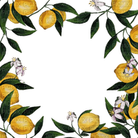 kikkapink lemon fruit deco png frame summer - фрее пнг