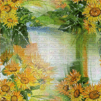 animated sunflower background - Free animated GIF