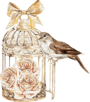 fågel-bur-blommor---bird-cage-flowers - zdarma png
