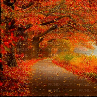 Autumn - Free animated GIF