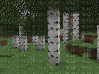 minecraft birch forest - png gratuito