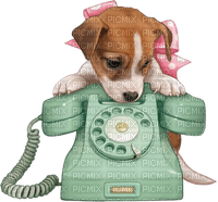 puppy/phone - Free PNG