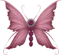 dulcineia8 borboletas - ücretsiz png