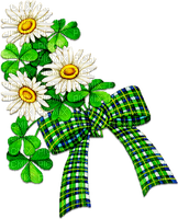 soave patrick st deco  clover flowers branch - 免费PNG