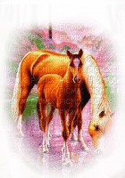 chevaux - Free PNG
