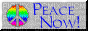 peace now! banner - gratis png