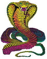 snakes bp - Δωρεάν κινούμενο GIF