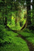fairy land background nature - PNG gratuit