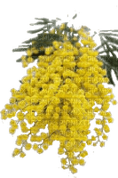 Yellow floers 6 - ilmainen png