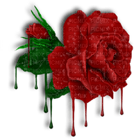 Red Rose - png gratis
