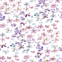 floral overlay Bb2 - Free PNG