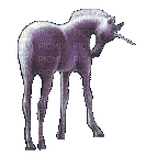 Licorne - GIF animate gratis
