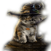 WITCH CAT HALLOWEEN - Free PNG