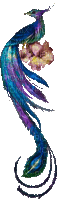 chantalmi   oiseau paon - Gratis geanimeerde GIF