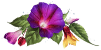 Flores campana - gratis png