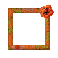 Small Orange Frame - 無料のアニメーション GIF