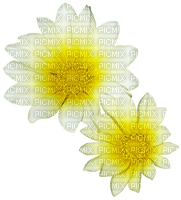 cvijeće - nemokama png