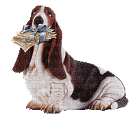 Dog Holding Mail - Animovaný GIF zadarmo