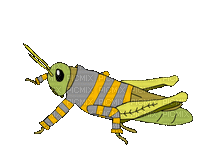 Friend Insect - Безплатен анимиран GIF