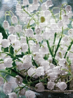 Background Spring Flowers - Free animated GIF