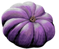 purple pumpkin Bb2 - bezmaksas png