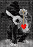 Lovley Puppie - 無料のアニメーション GIF